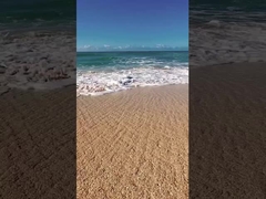 GIOCCHIE ZONE GIOCO DTV ELETTRICO SCOOTER TRACKED ETV SNOWMOBILE ATV