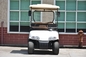 2 Seater Mini Car White Electric Utility Golf Carts Installed With Small Fans